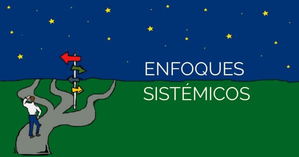 Enfoques sistémicos