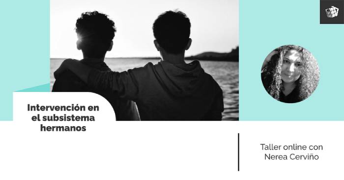 Taller: Intervención en el subsistema hermanos